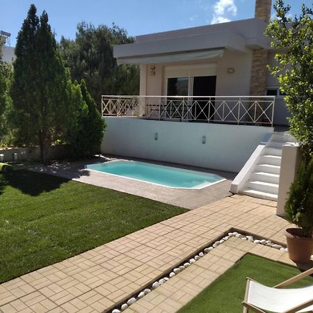 Cozy Villa Vita Lagonisi Kalivia Thorikou المظهر الخارجي الصورة