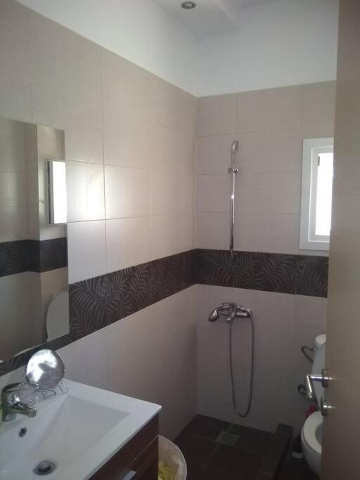 Cozy Villa Vita Lagonisi Kalivia Thorikou المظهر الخارجي الصورة