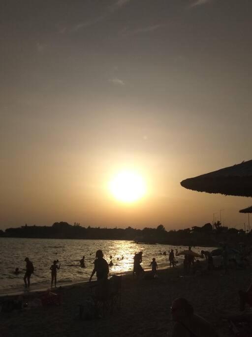 Cozy Villa Vita Lagonisi Kalivia Thorikou المظهر الخارجي الصورة