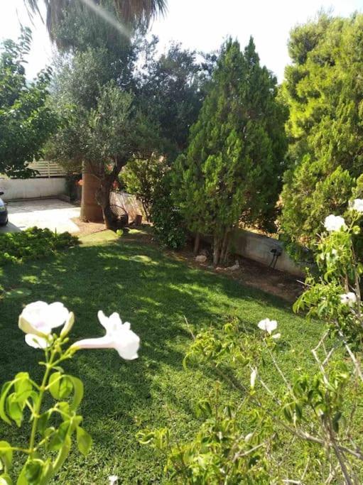 Cozy Villa Vita Lagonisi Kalivia Thorikou المظهر الخارجي الصورة