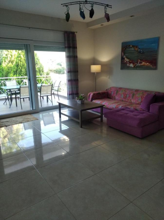 Cozy Villa Vita Lagonisi Kalivia Thorikou المظهر الخارجي الصورة