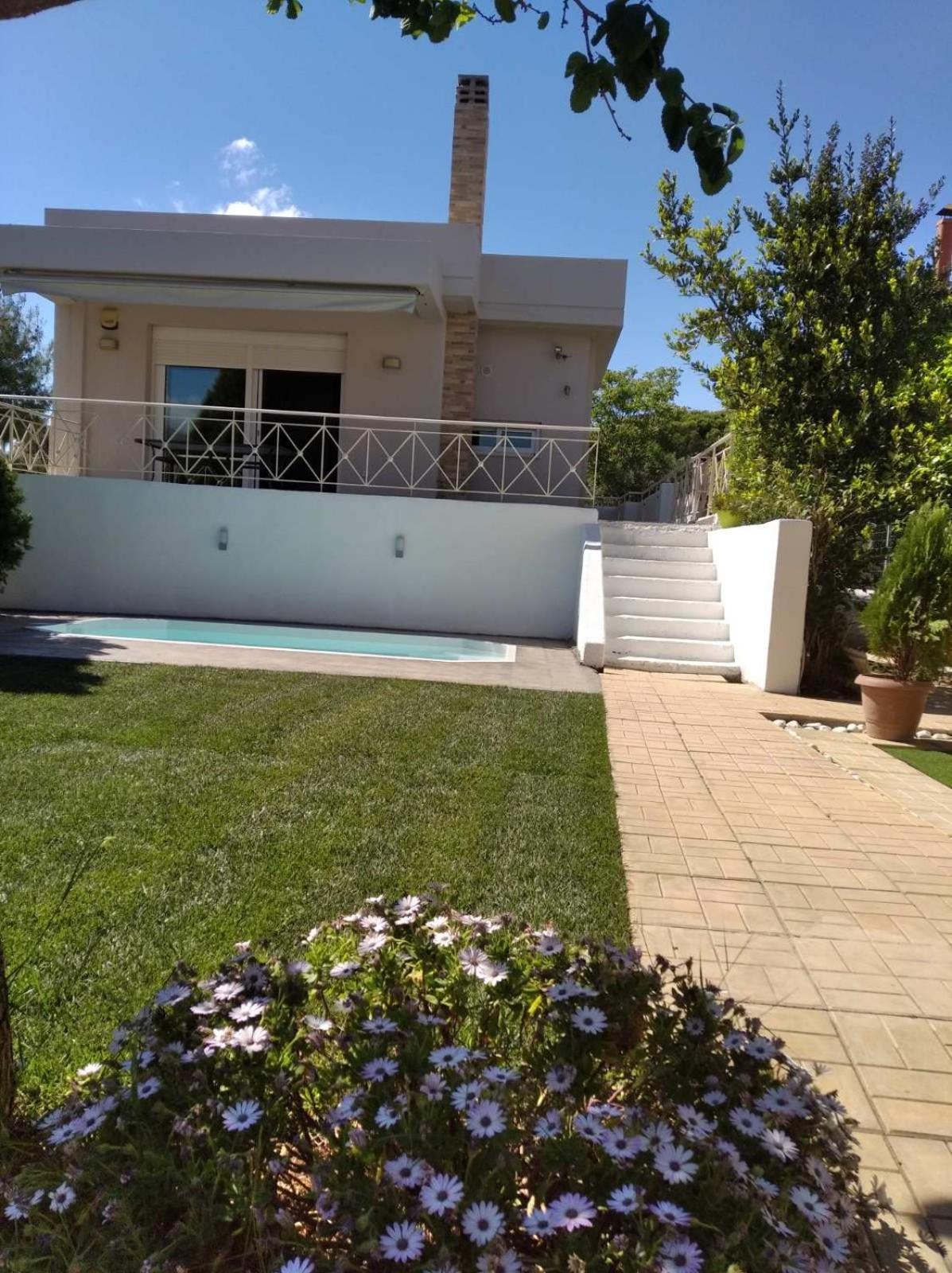 Cozy Villa Vita Lagonisi Kalivia Thorikou المظهر الخارجي الصورة